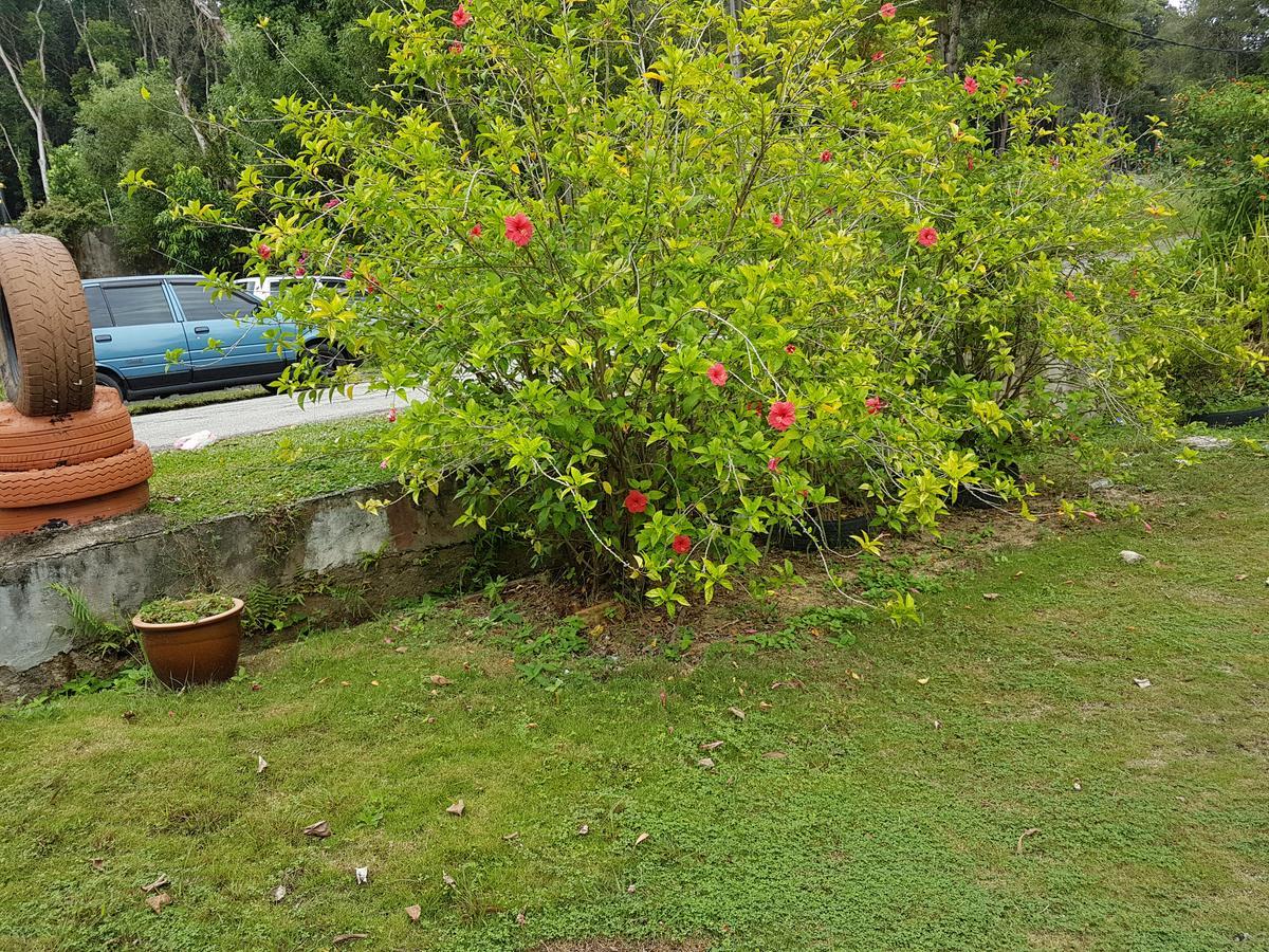 Inap Bayu Tc Apartment Kuantan Luaran gambar
